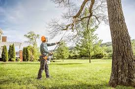 Best Lawn Watering Services  in Jackson, TN