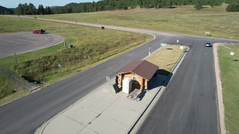 Best Root Management and Removal  in Jackson, TN